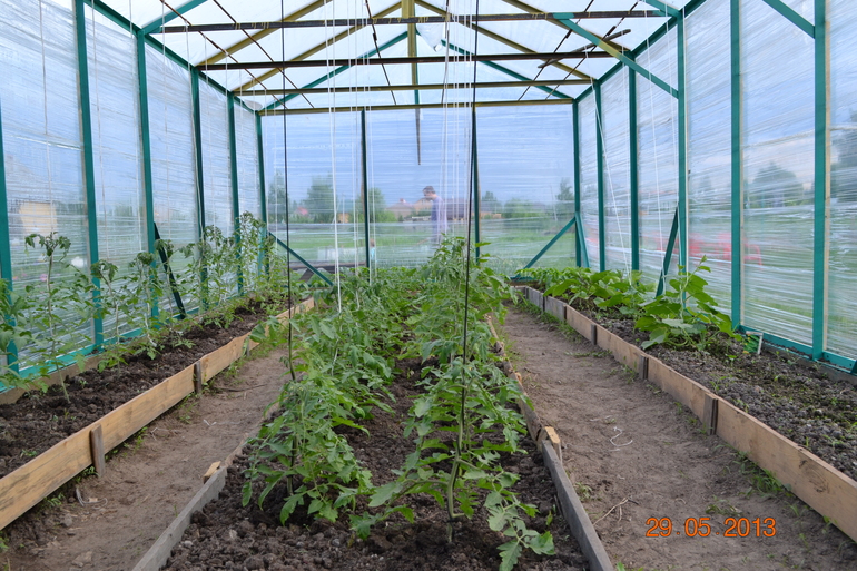 садово-огородный марафон день 9