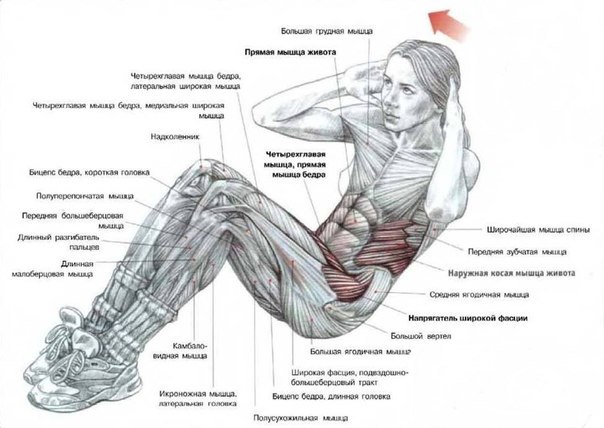 Почему после упражнений ничего не болит?