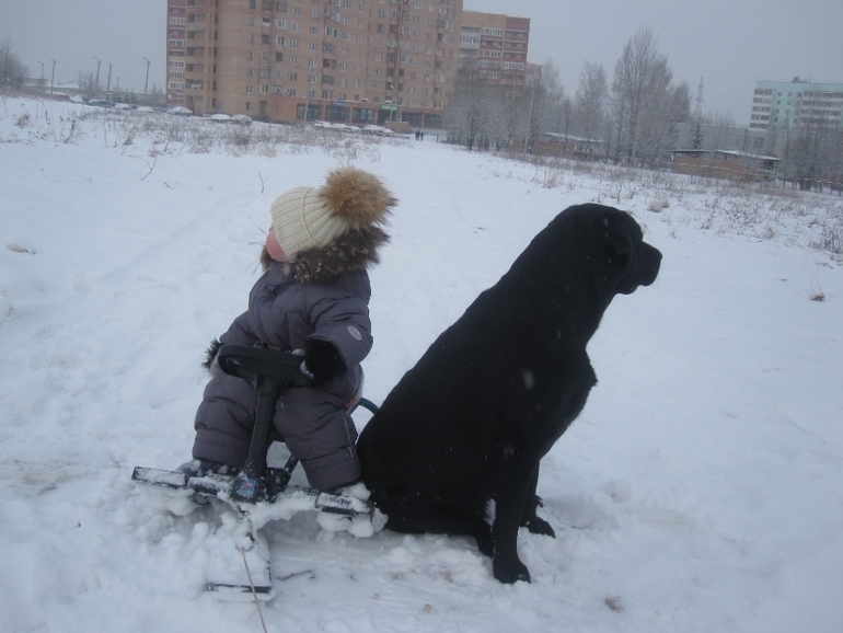 Хвасты нельсом...Комбезы маих деток...