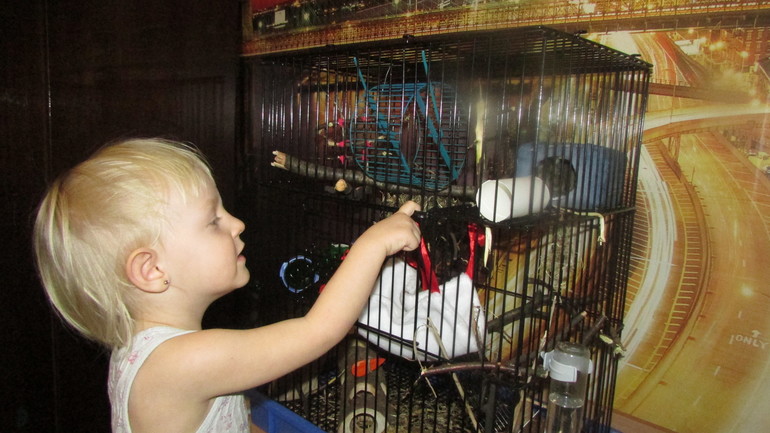 Белка ТИРЛЕ! Знакомьтесь!!!