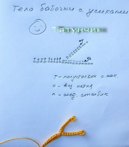 бабочки бабушки))))