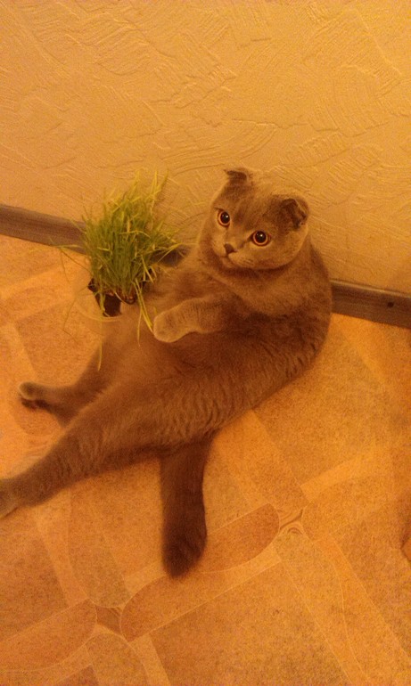 Ещё немного нашего Венченсоо!!!