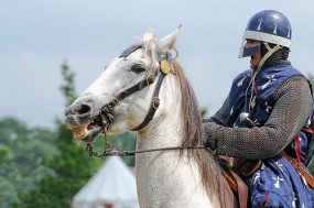 Карнавал "Путь рыцаря"