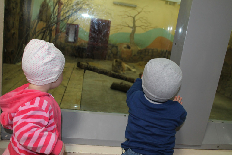 Двойняшки в зоопарке)))