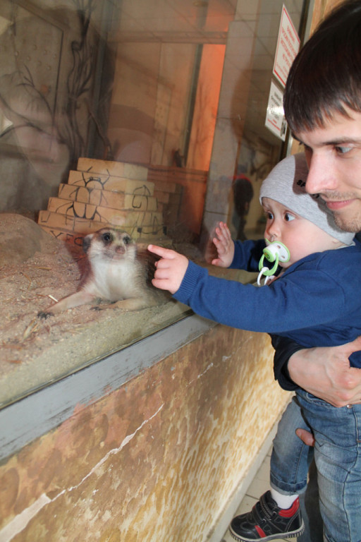 Двойняшки в зоопарке)))