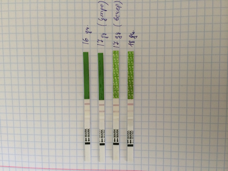 Помогите разобраться с овуляцией!