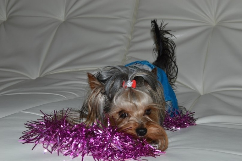 Это наш Марсюша)