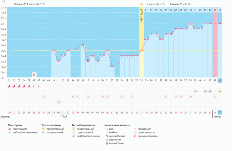 Вот он мой хороший!