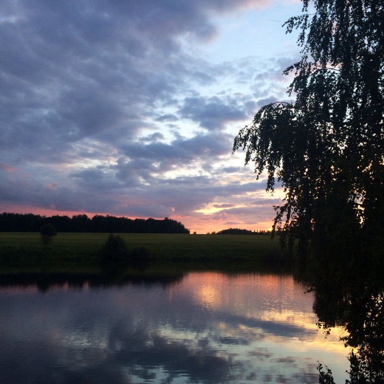 Июньские дачные фото зарисовки :)