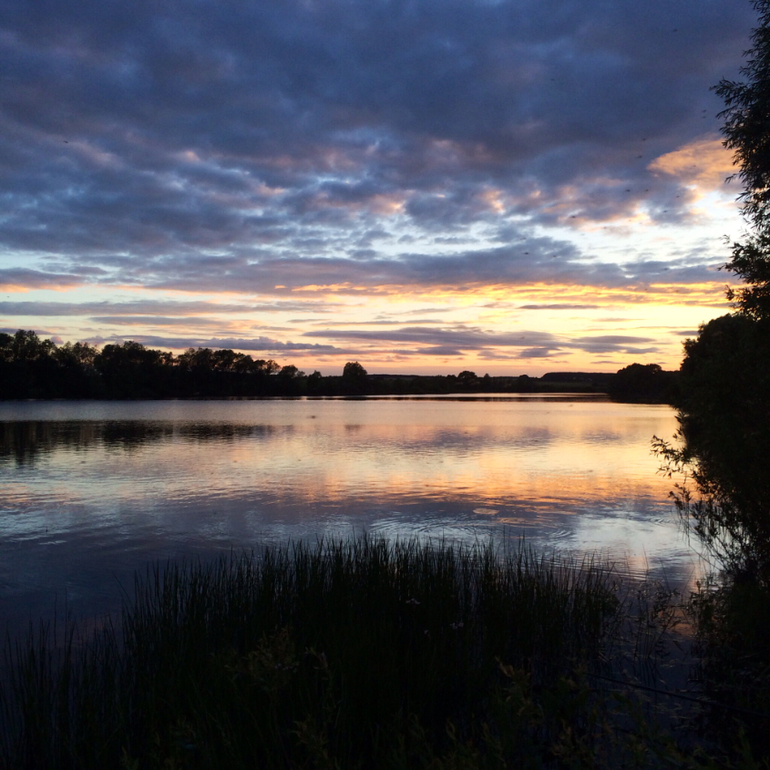 Июньские дачные фото зарисовки :)