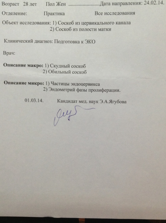 Результаты гистероскопии (фото)