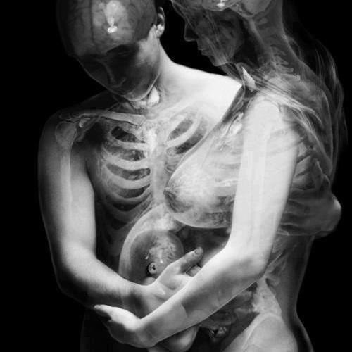 Вот и декрет))