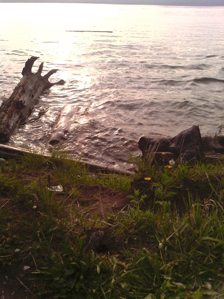 ♥ Лето ... или я счастливая, как слон)))