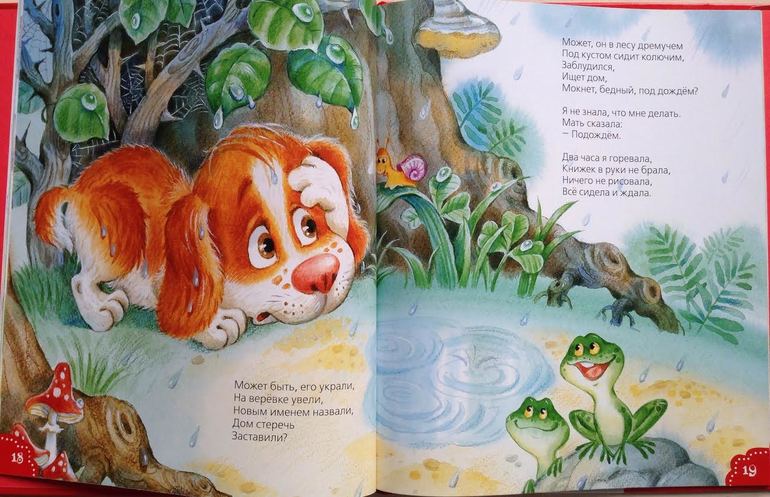 Наше книжное пополнение за декабрь-январь