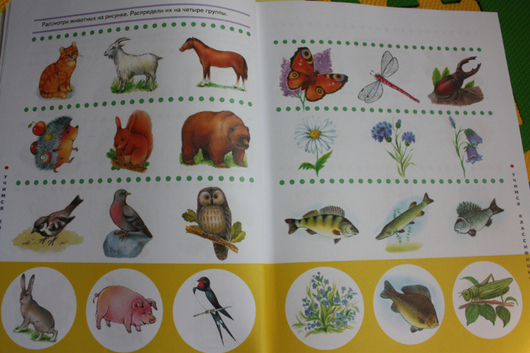 Наша библиотечка от 1 до 2