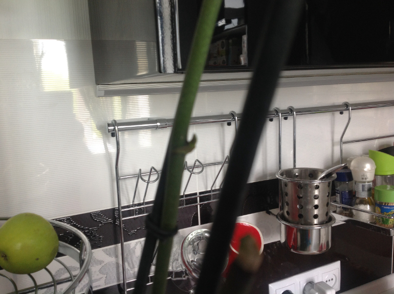 Знающие подскажите пожалуйста.