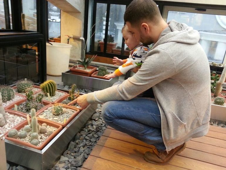 экзотическая зима г. Москва Ботанический сад МГУ