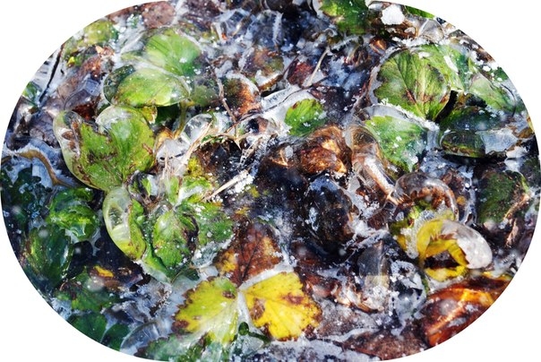 То что твориться за окном)