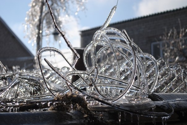 То что твориться за окном)