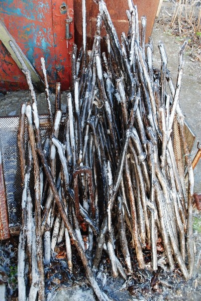 То что твориться за окном)