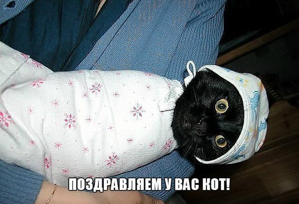 понравились картинки