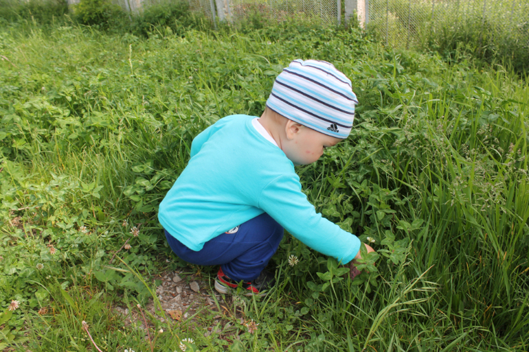 ТЗ ПОРОСЁНОК