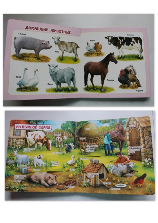 Наши новые КнигоПокупки.