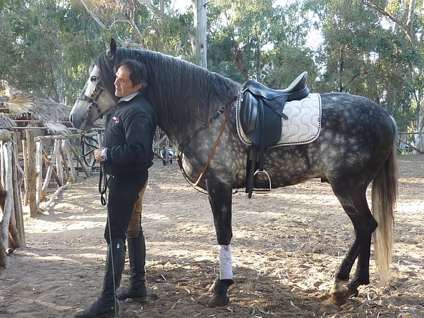 Верховая езда