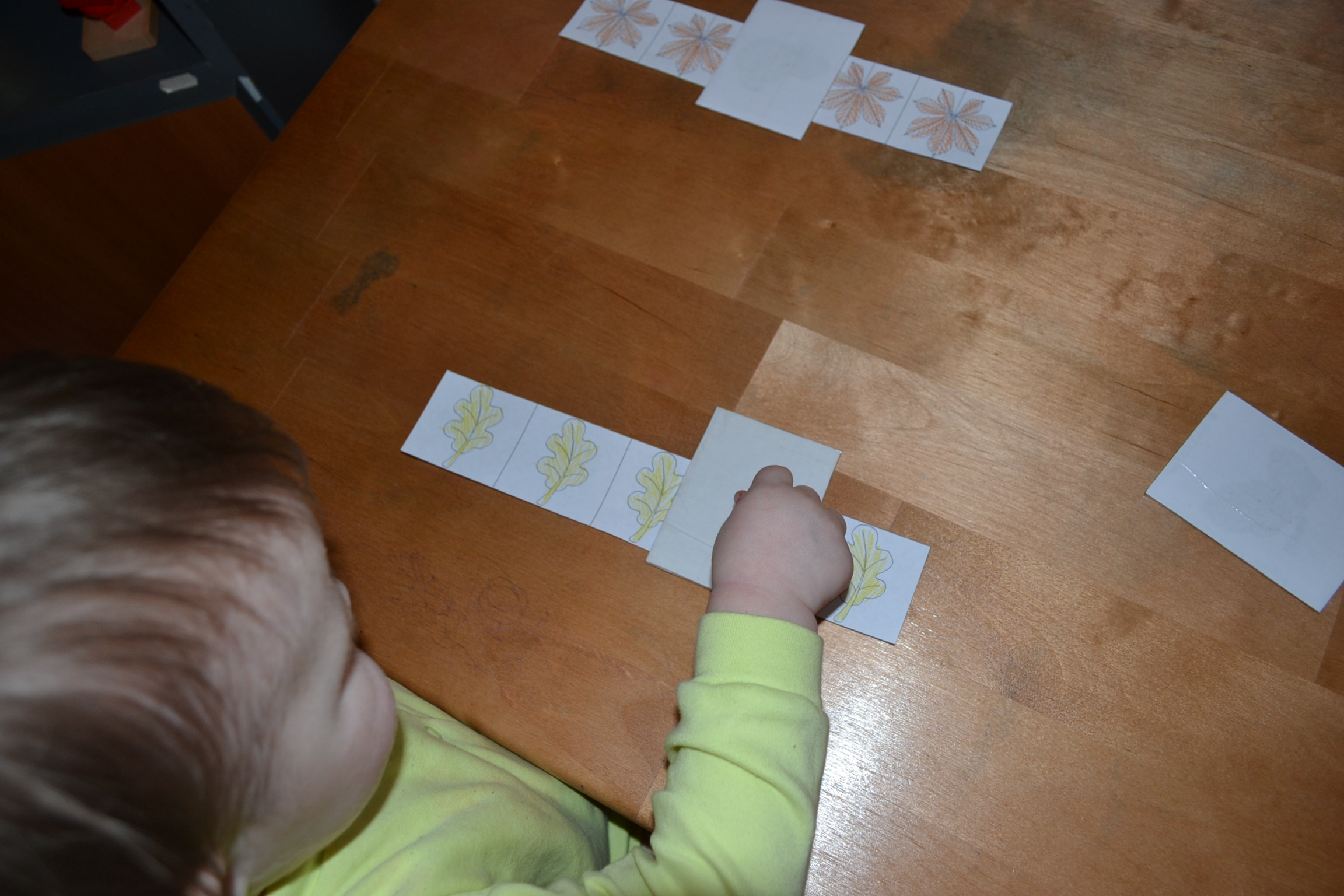 ТН "Деревья" день 1 - лиственные деревья