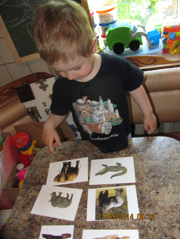 Как мы занимались ("Животные Африки")