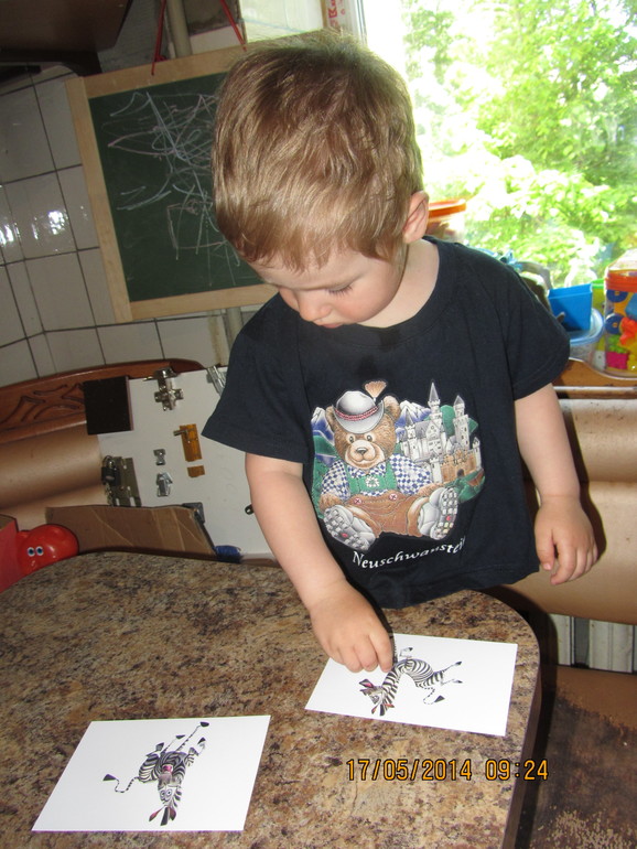 Как мы занимались ("Животные Африки")