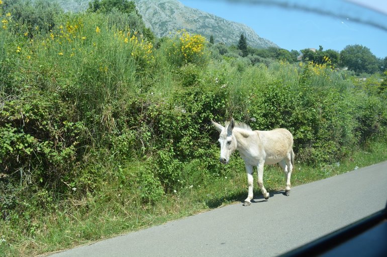 Отдых в Черногории - рай из которого не хочется возвращаться!!!