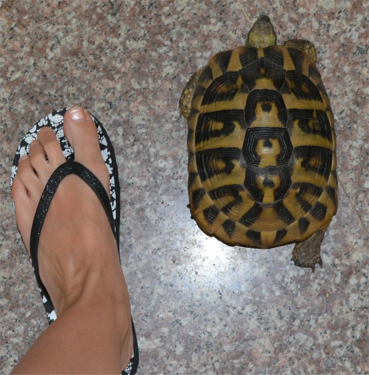 Отдых в Черногории - рай из которого не хочется возвращаться!!!