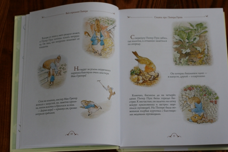 Теперь и у меня есть Кролик