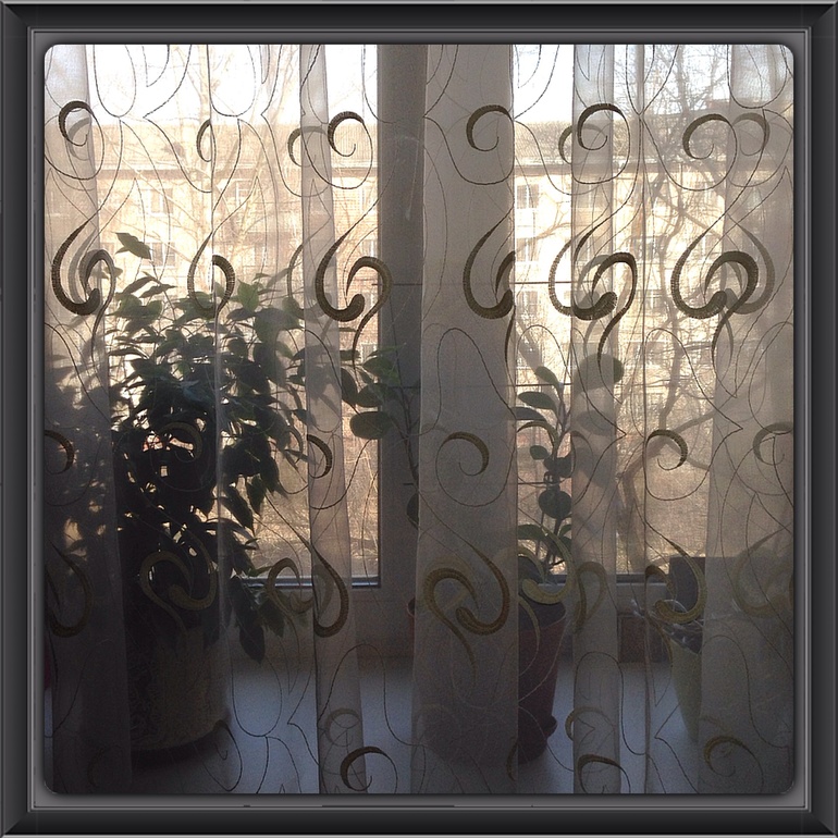 Home, sweet home. 14 марта. В зеркале