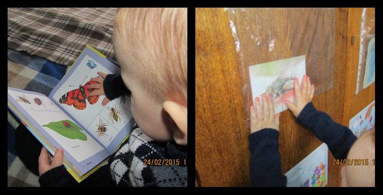 ТН Насекомые. День 1.