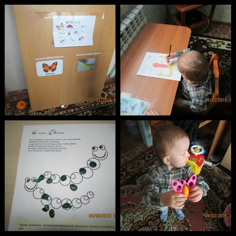 ТН Насекомые. День 5.