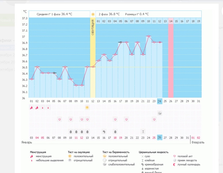 Похоже на беременность?
