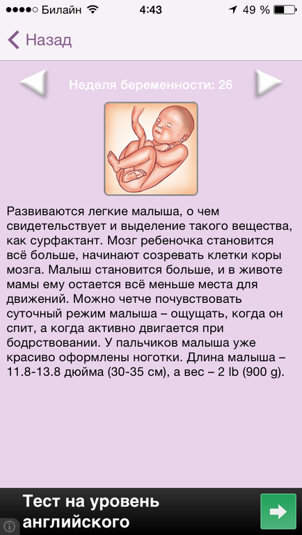 Мой хит-парад бесплатных приложений о беременности на Iphone.