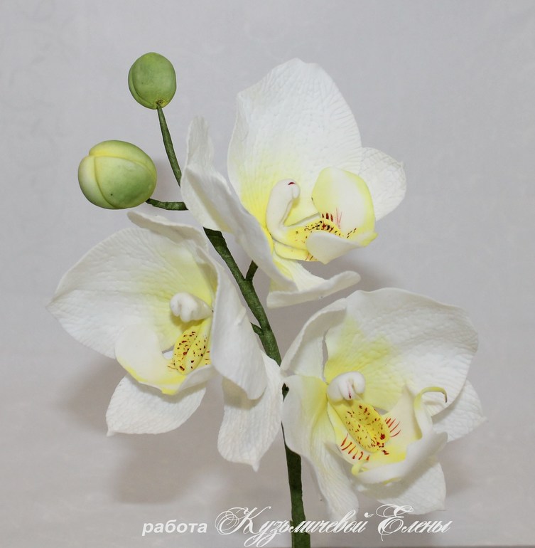 Первый самостоятельный цветок