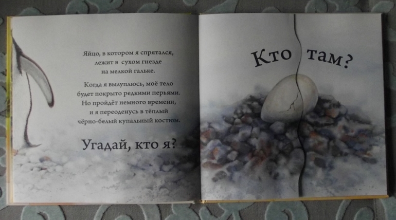 Кто спрятался? Иллюстрации Гая Троутона.