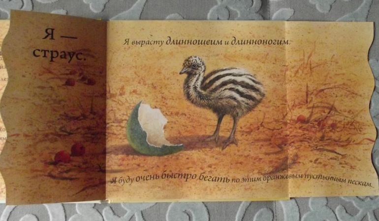 Кто спрятался? Иллюстрации Гая Троутона.