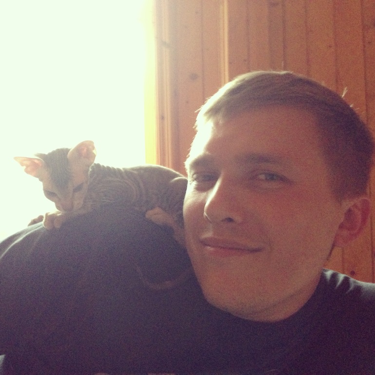 Семейство эльфов)