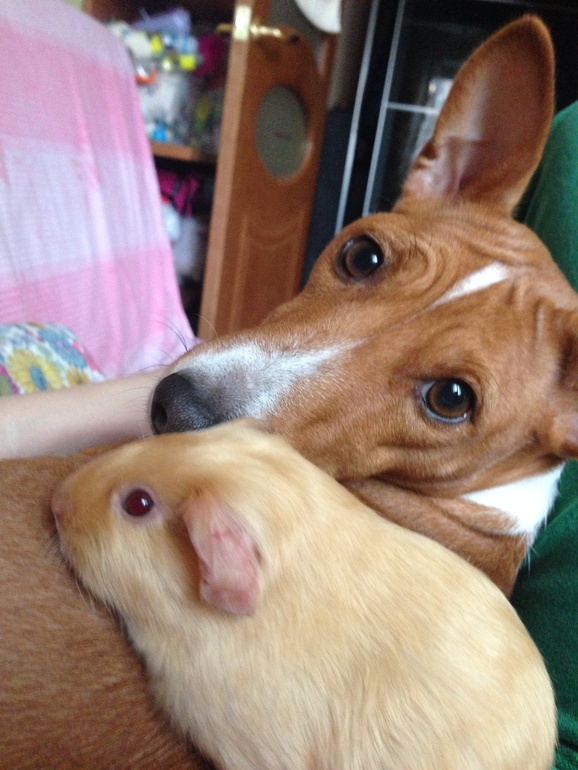 Наша Фрося)