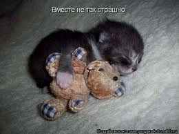 Все не так страшно)