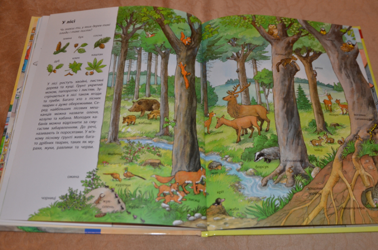 Бюджетные смотрелки - много фото