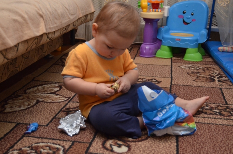 Отчет по ФМ "Домашние любимцы" - День 2 "Котята"