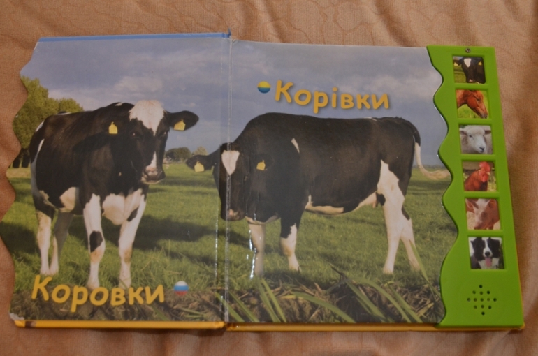 Наша библиотека в 1 год и 1 месяц