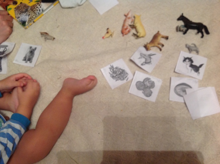 ФМ "Домашние животные". День шестой. Обобщающий.