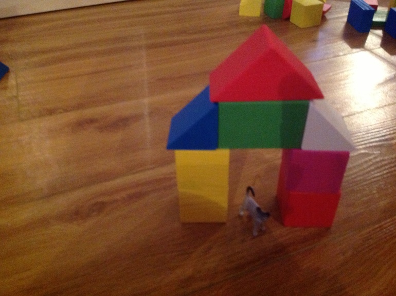 ФМ "Домашние животные". День третий. Кошка.